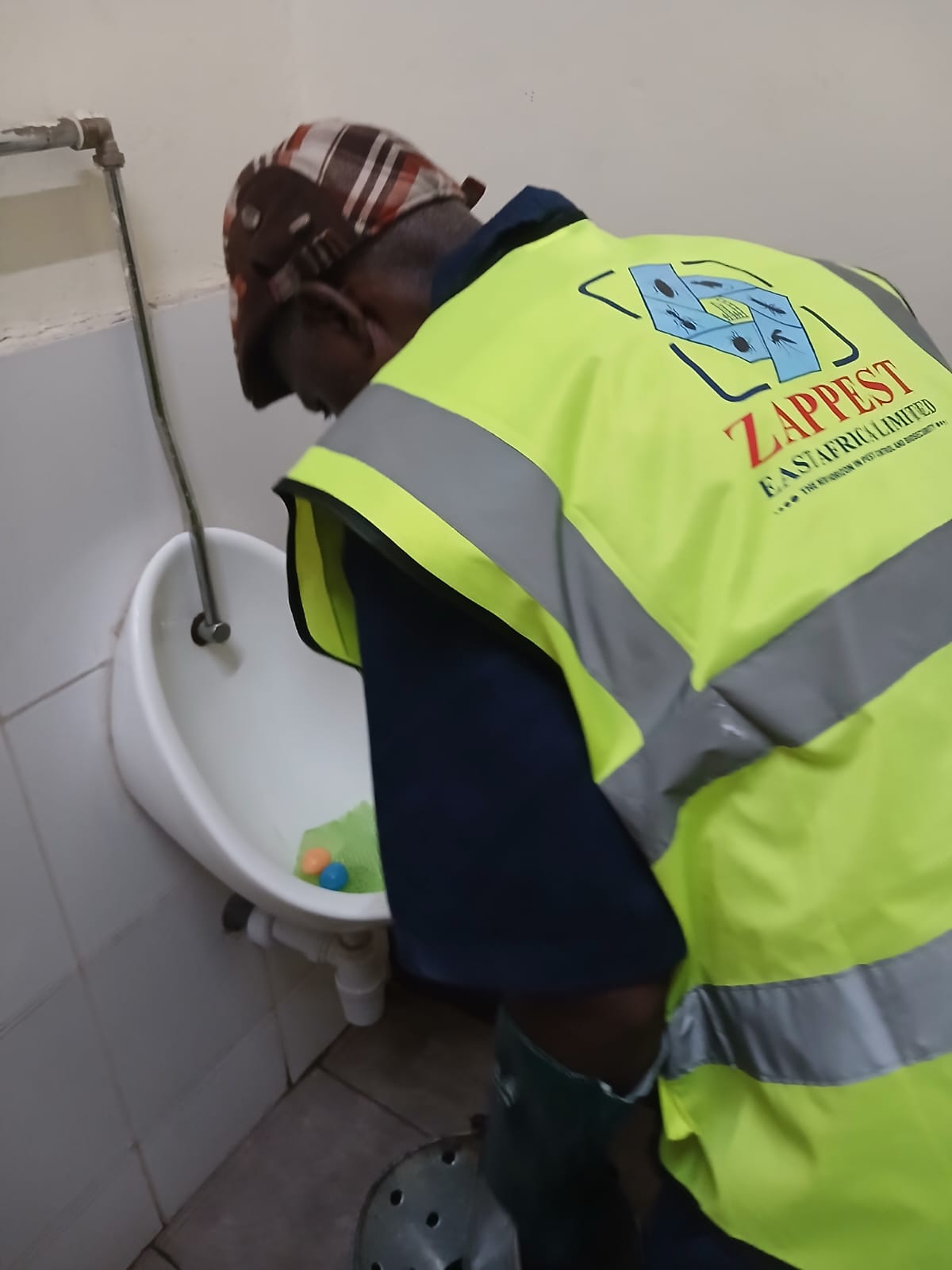 Toilet Cleaning and Sanitation